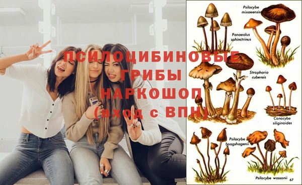 молекула духа Алзамай
