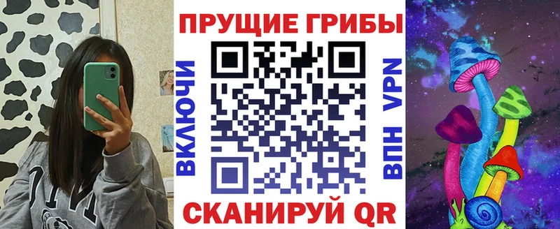 Галлюциногенные грибы GOLDEN TEACHER  Купить  Сортавала 