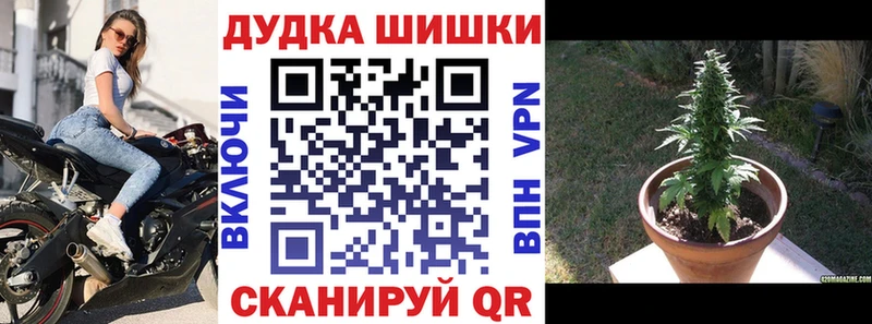 Конопля OG Kush  Купить закладки  Сортавала 